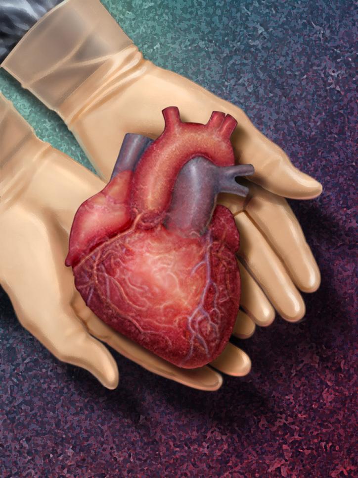 Основные способы профилактики заболеваний сердца